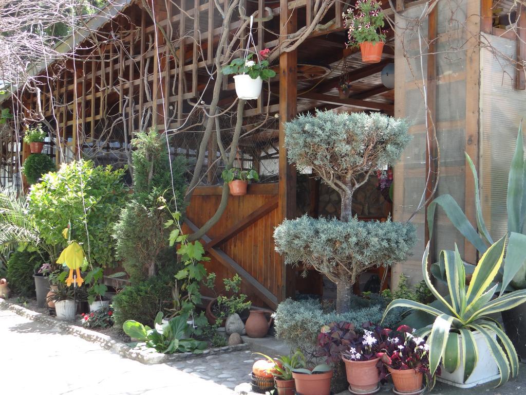 Guest House Rusalka Byala  Luaran gambar