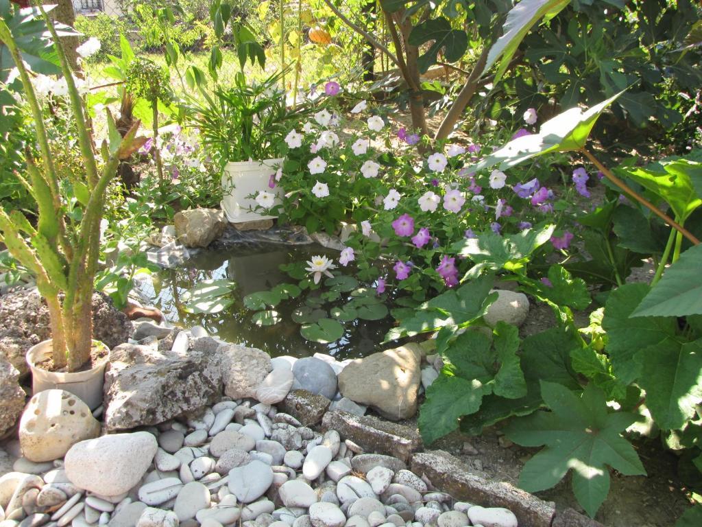 Guest House Rusalka Byala  Luaran gambar